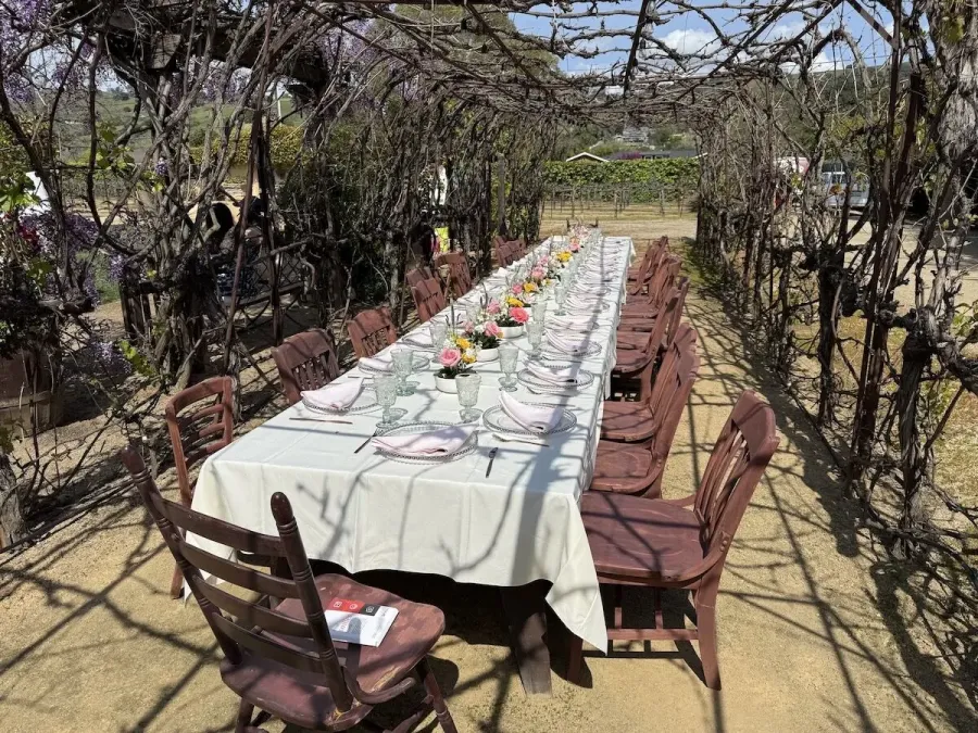 Long table set between the vines with a run of small blossom arrangements and simple place settings — vineyard florals for Santa Cruz Mountains catering receptions
